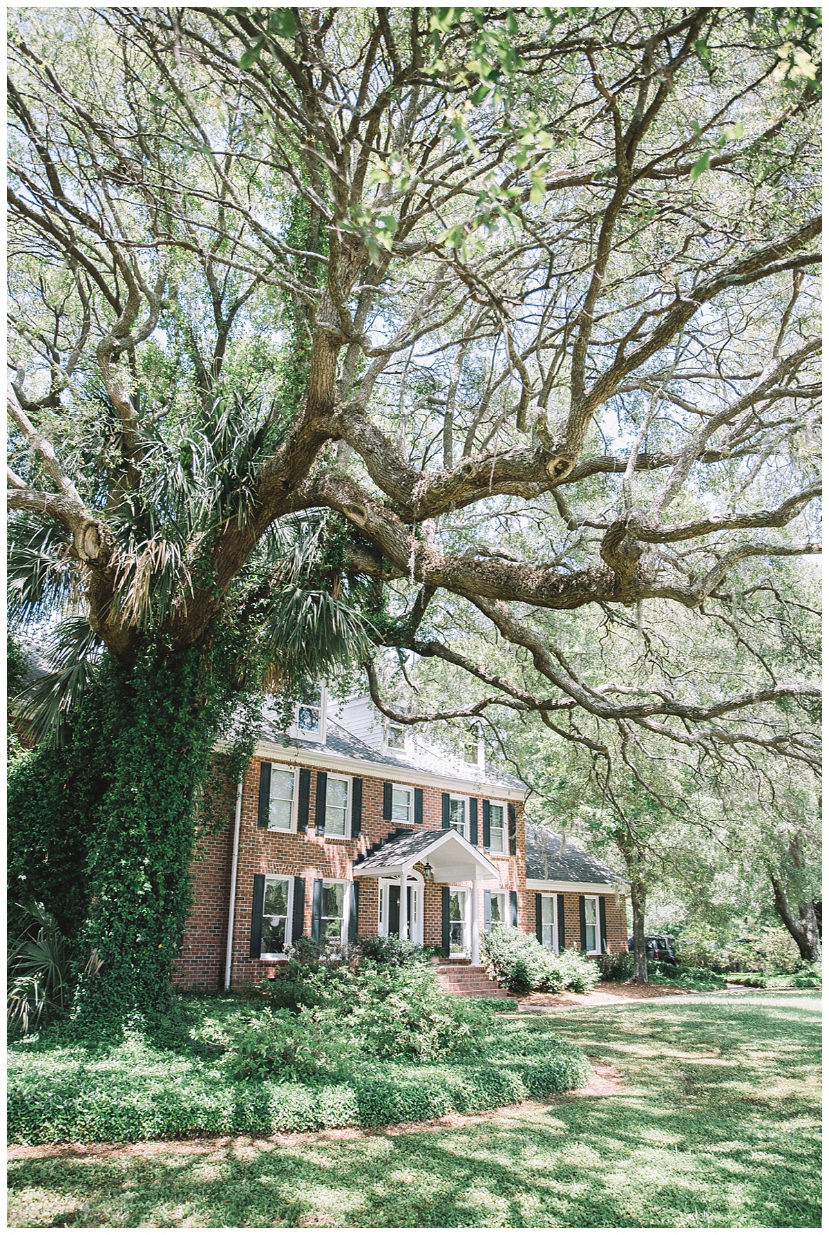 Sarah & Demitri Wingate Plantation The Wedding Row
