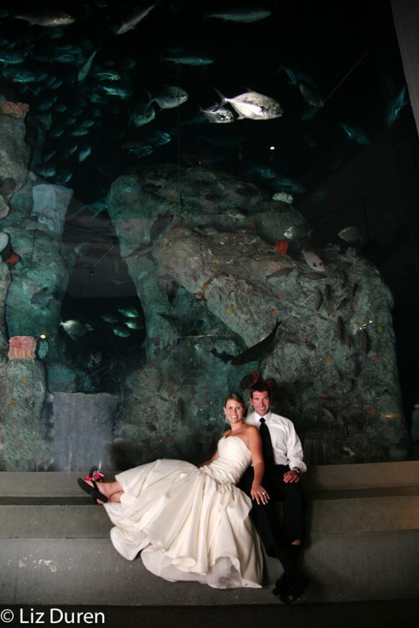South Carolina Aquarium Wedding