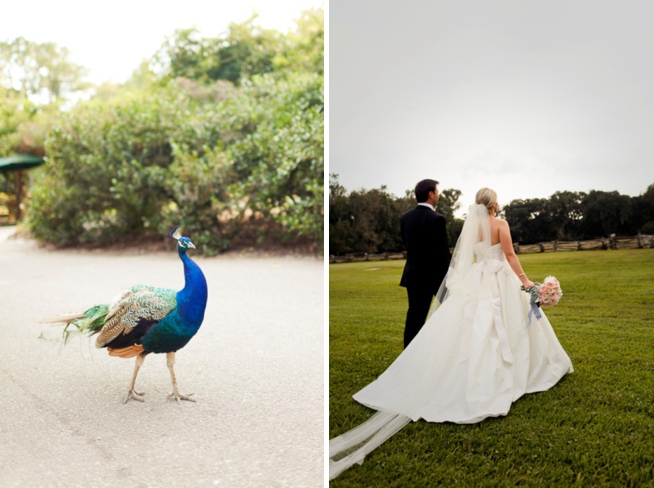 Real Charleston Weddings featured on The Wedding Row_1106.jpg