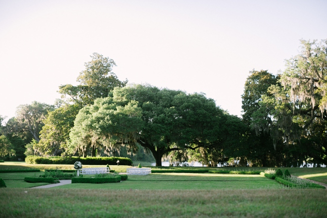 Charleston Wedings