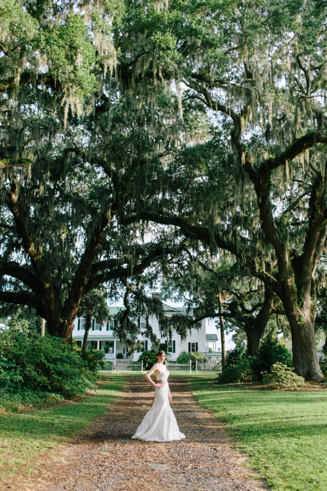 Charleston Wedings