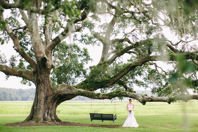 Charleston Wedings