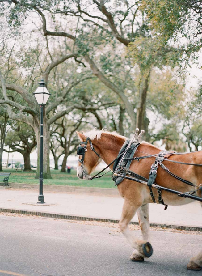 Southern Weddings