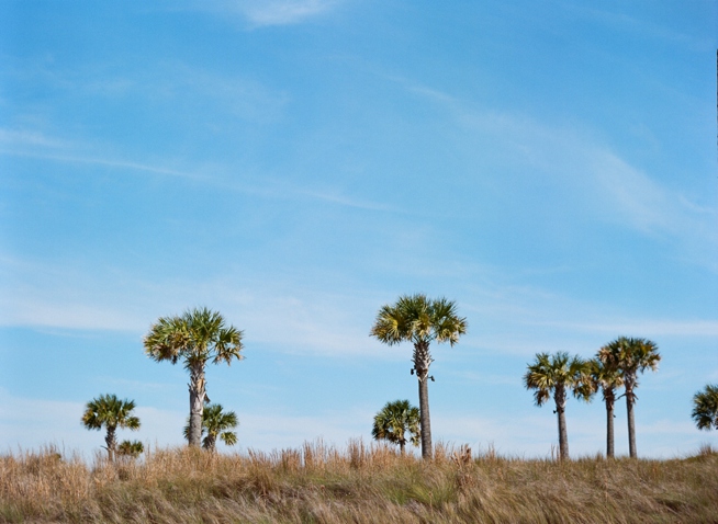 Charleston Weddings