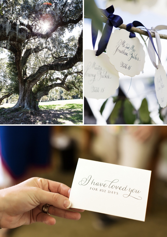 Charleston Weddings_1147.jpg