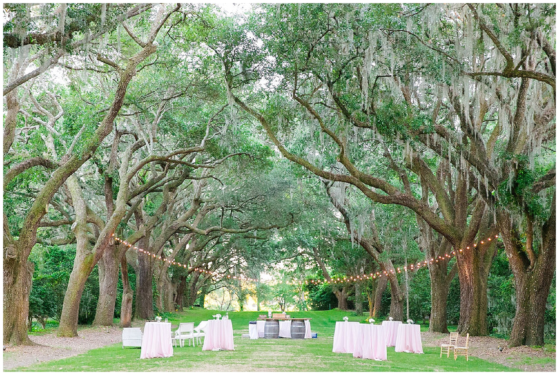 Charleston SC wedding photographer,Charleston SC wedding photography,Charleston wedding photographer,Charleston wedding photography,Dana Cubbage,Dana Cubbage Wedding Photography,Dana Cubbage Weddings,engagement photographer,engagement photography,modern lifestyle wedding photography,wedding photography,