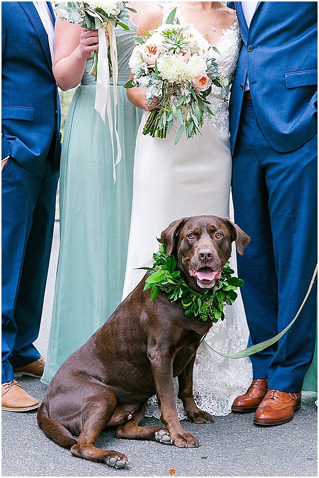 Charleston SC wedding photographer,Charleston SC wedding photography,Charleston wedding photographer,Charleston wedding photography,Dana Cubbage,Dana Cubbage Wedding Photography,Dana Cubbage Weddings,engagement photographer,engagement photography,modern lifestyle wedding photography,wedding photography,