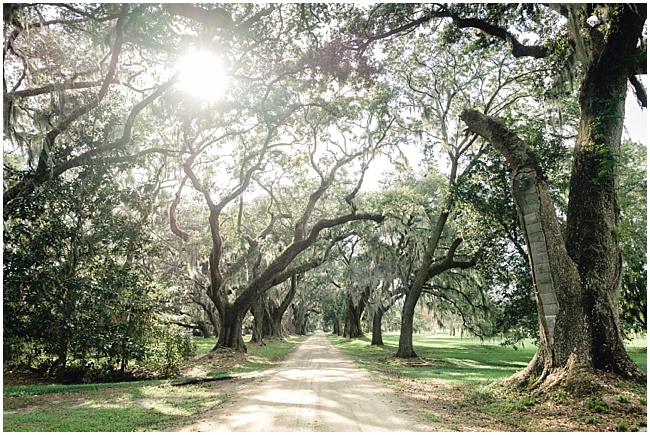 3e8 photography,avenue of oaks,beaufort,bridal,bride,charleston,dress,farm,film,gown,horse,husa plantation,modern trousseau,oak,portraits,south carolina,southern,spanish moss,wedding,wedding photography,