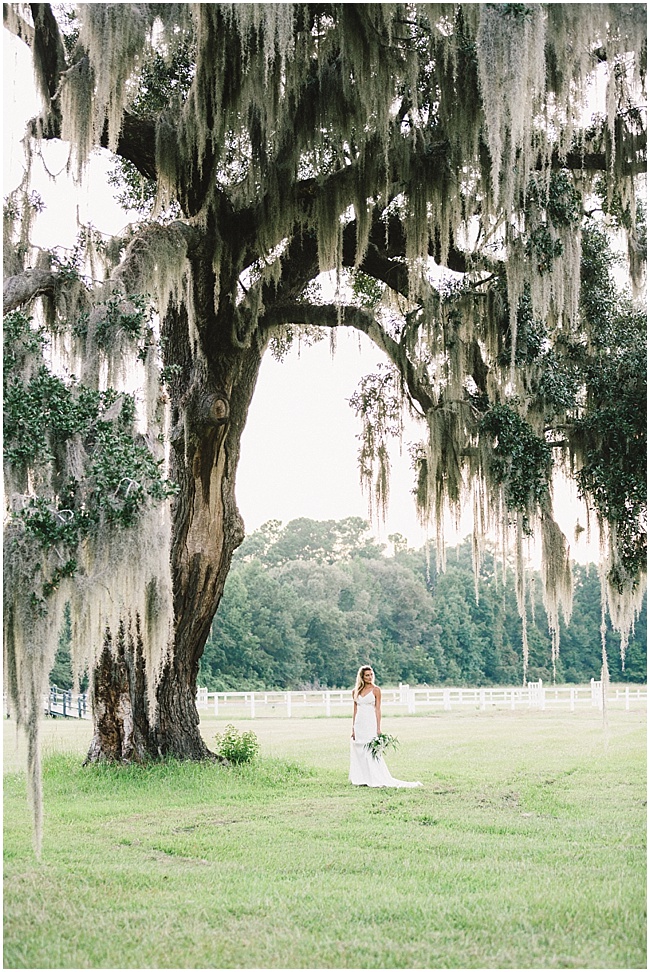 3e8 photography,avenue of oaks,beaufort,bridal,bride,charleston,dress,farm,film,gown,horse,husa plantation,modern trousseau,oak,portraits,south carolina,southern,spanish moss,wedding,wedding photography,