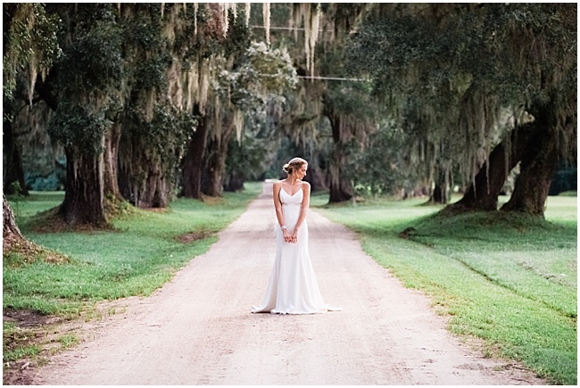 3e8 photography,avenue of oaks,beaufort,bridal,bride,charleston,dress,farm,film,gown,horse,husa plantation,modern trousseau,oak,portraits,south carolina,southern,spanish moss,wedding,wedding photography,