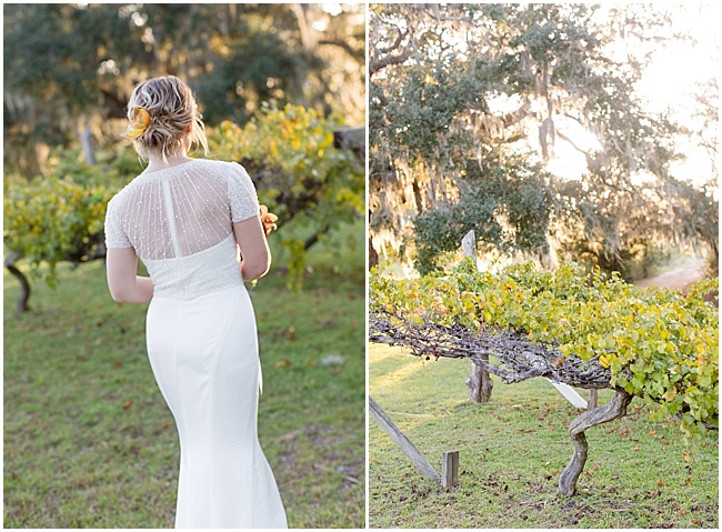 Captured by Kate Photography,Charleston Photographer,Kate Thornton Photography,