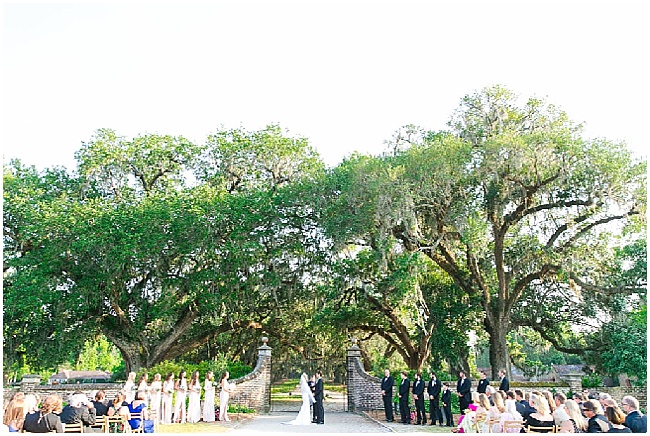 Charleston SC wedding photographer,Charleston SC wedding photography,Charleston wedding photographer,Charleston wedding photography,Dana Cubbage,Dana Cubbage Wedding Photography,Dana Cubbage Weddings,engagement photographer,engagement photography,modern lifestyle wedding photography,wedding photography,