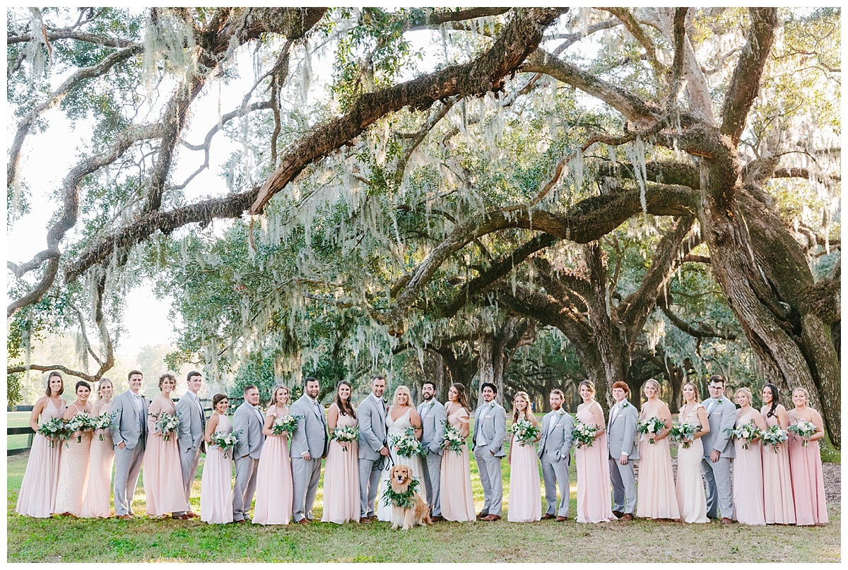 Boone Hall Plantation,Boone Hall Plantation Wedding,Charleston SC wedding photography,Charleston wedding photography,Cotton Dock,Cotton Dock Wedding,Emily Meeks,charleston sc,charleston sc wedding photographer,charleston wedding photographer,emily meeks photo,emily meeks photography,