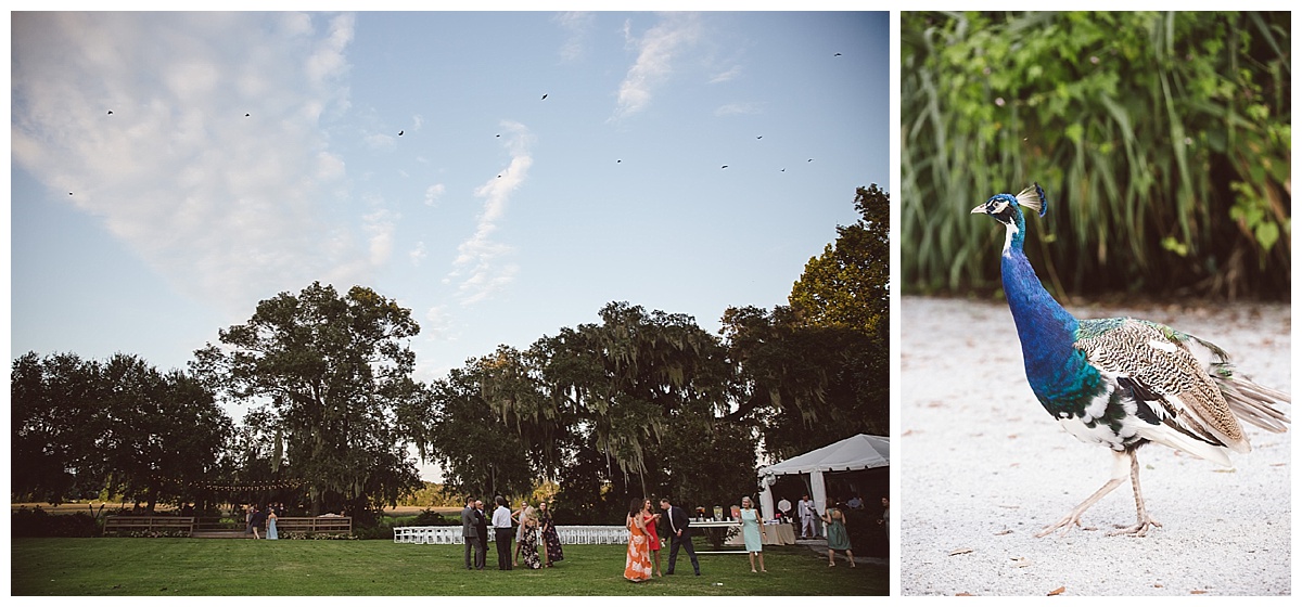 Charleston South Carolina,Nancy Coker and Jonathan Valades' Magnolia Plantation wedding in,awesome wedding photographer charleston sc,candid wedding photographer charleston sc,charleston,charleston portrait photographer,charleston wedding photographer,creative wedding photographer charleston sc,documentary photographer charleston sc,fun wedding photographer charleston sc,modern wedding photographer,photojournalism,unique photography charleston sc,wedding and portrait photographer,wedding photographer,wedding photographer charleston sc,wedding photography charleston sc,wedding photos,