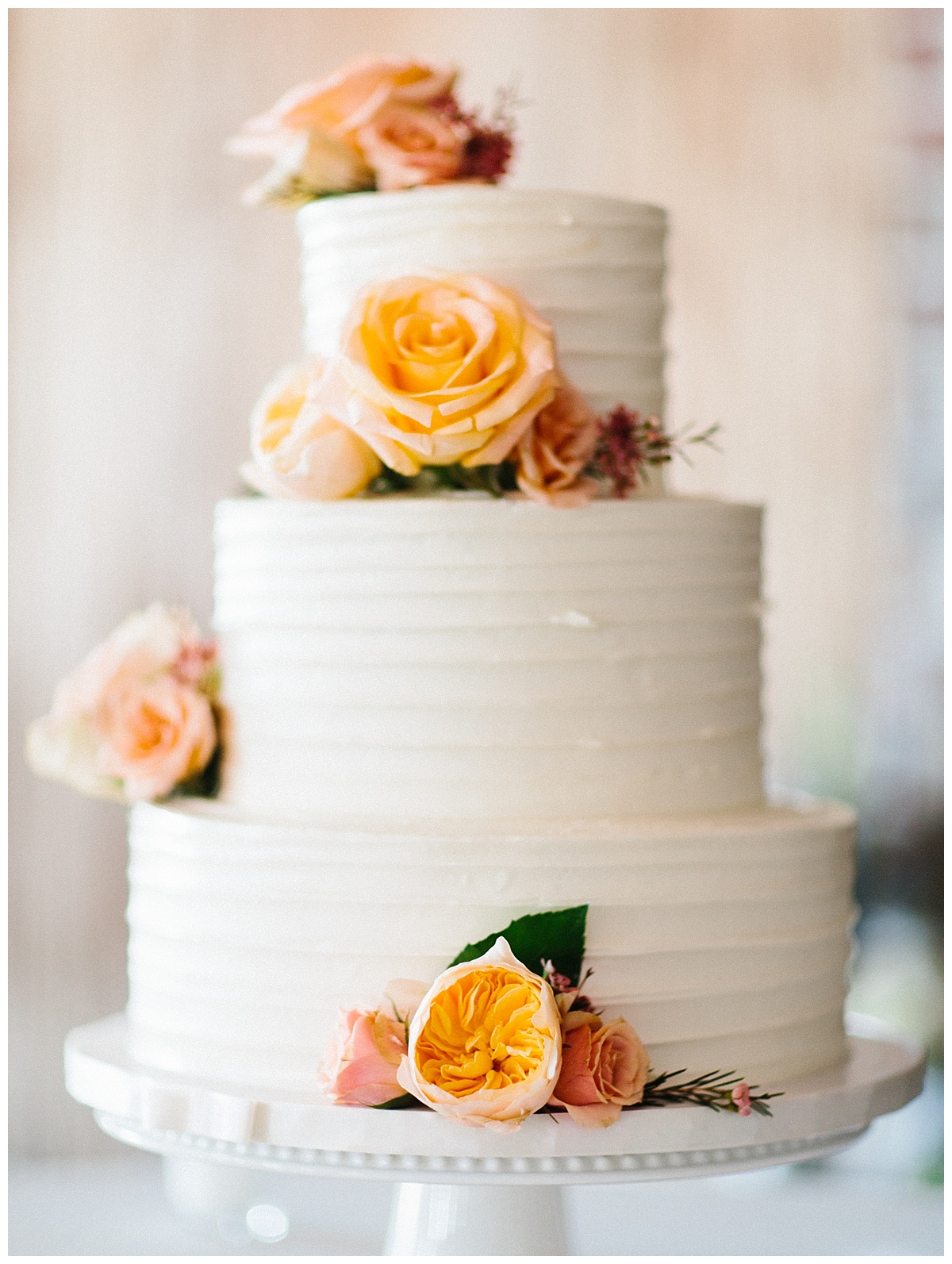 Rachel Red Photography,Charleston,Charleston Wedding Photographer,Destination Wedding Photographer,Photographer,