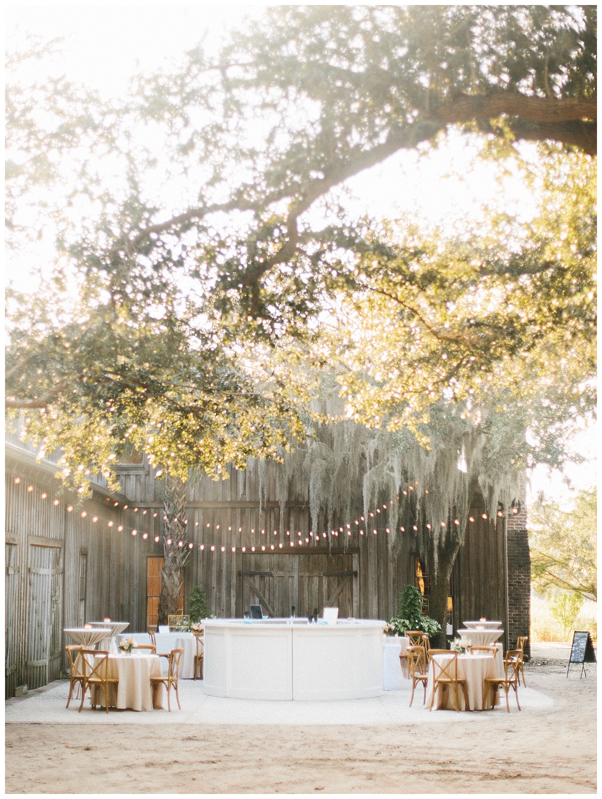 Rachel Red Photography,Charleston,Charleston Wedding Photographer,Destination Wedding Photographer,Photographer,