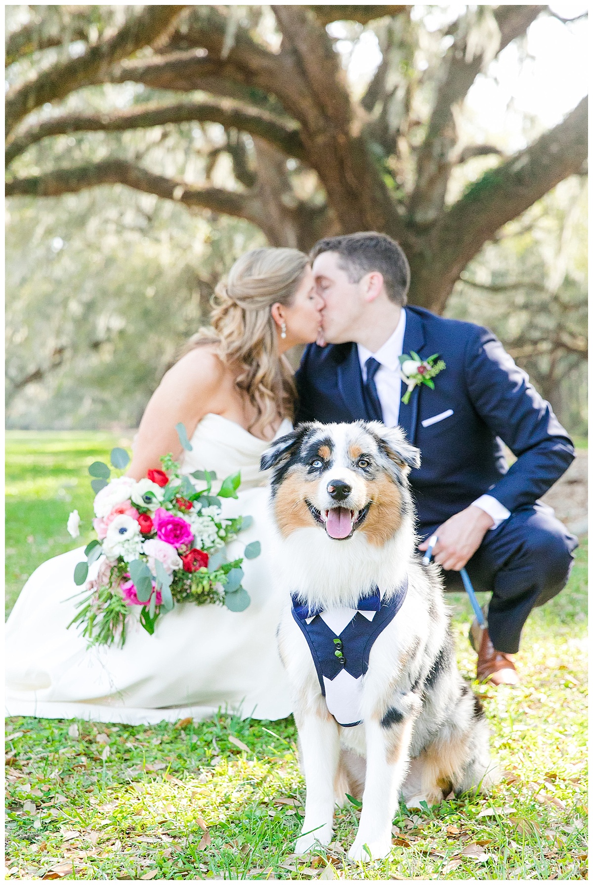 Charleston SC wedding photographer,Charleston SC wedding photography,Charleston wedding photographer,Charleston wedding photography,Dana Cubbage,Dana Cubbage Wedding Photography,Dana Cubbage Weddings,engagement photographer,engagement photography,modern lifestyle wedding photography,wedding photography,