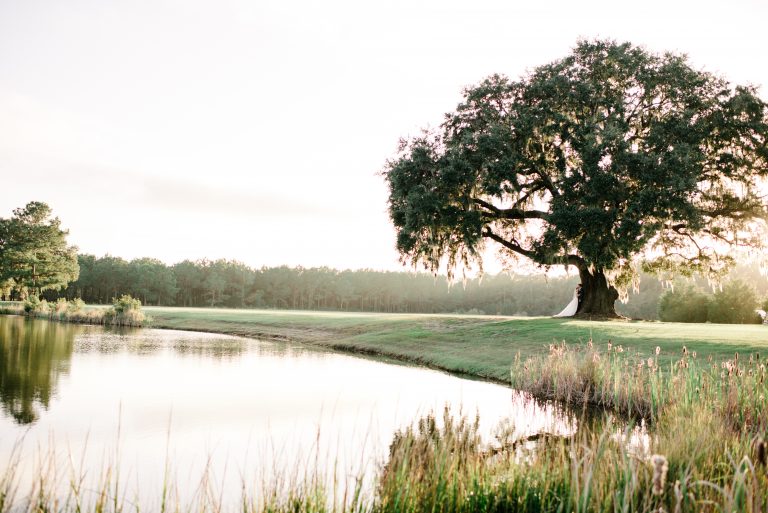 Wingate Plantation Vendor Spotlight The Wedding Row