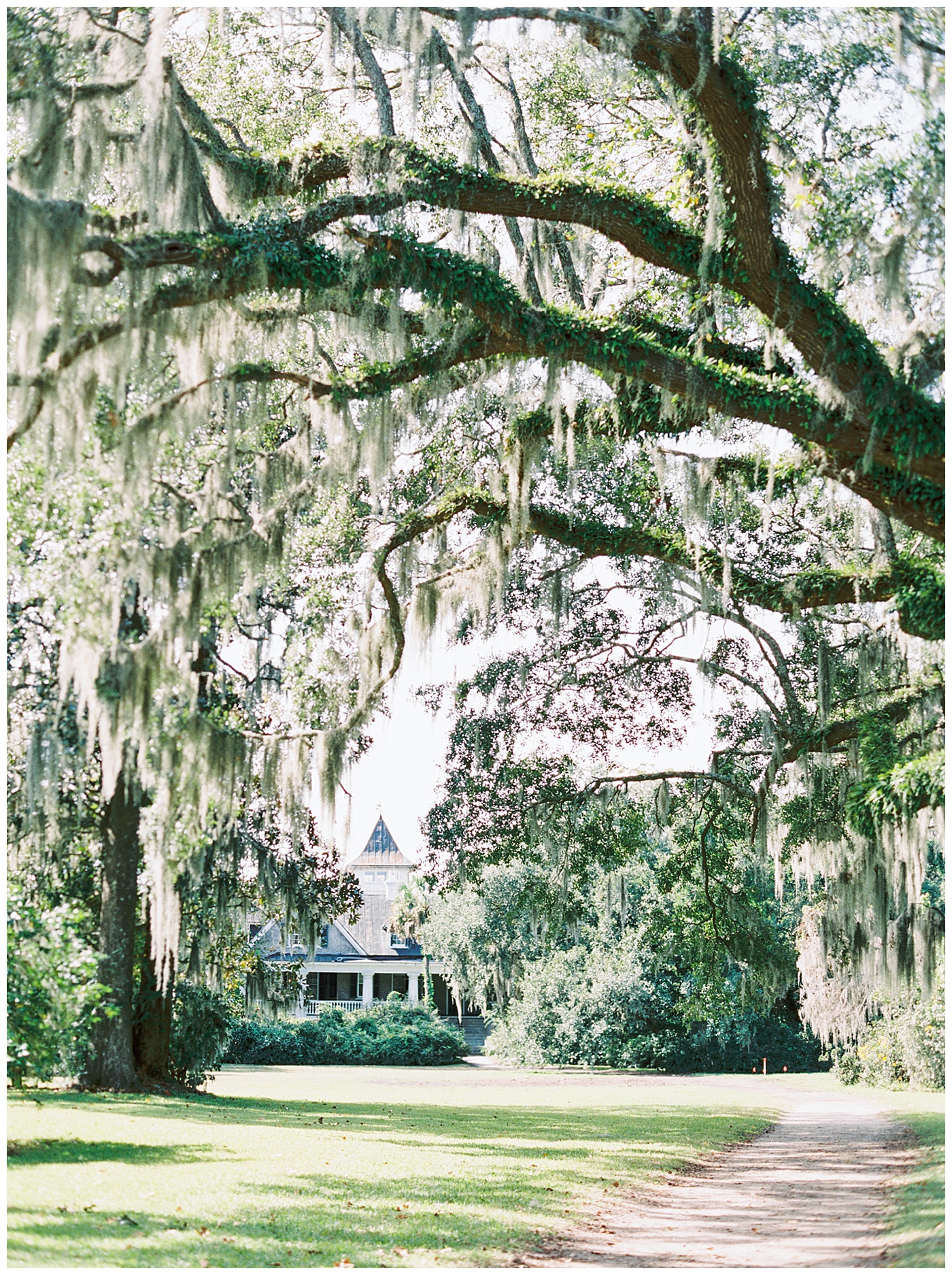 magnolia plantation wedding