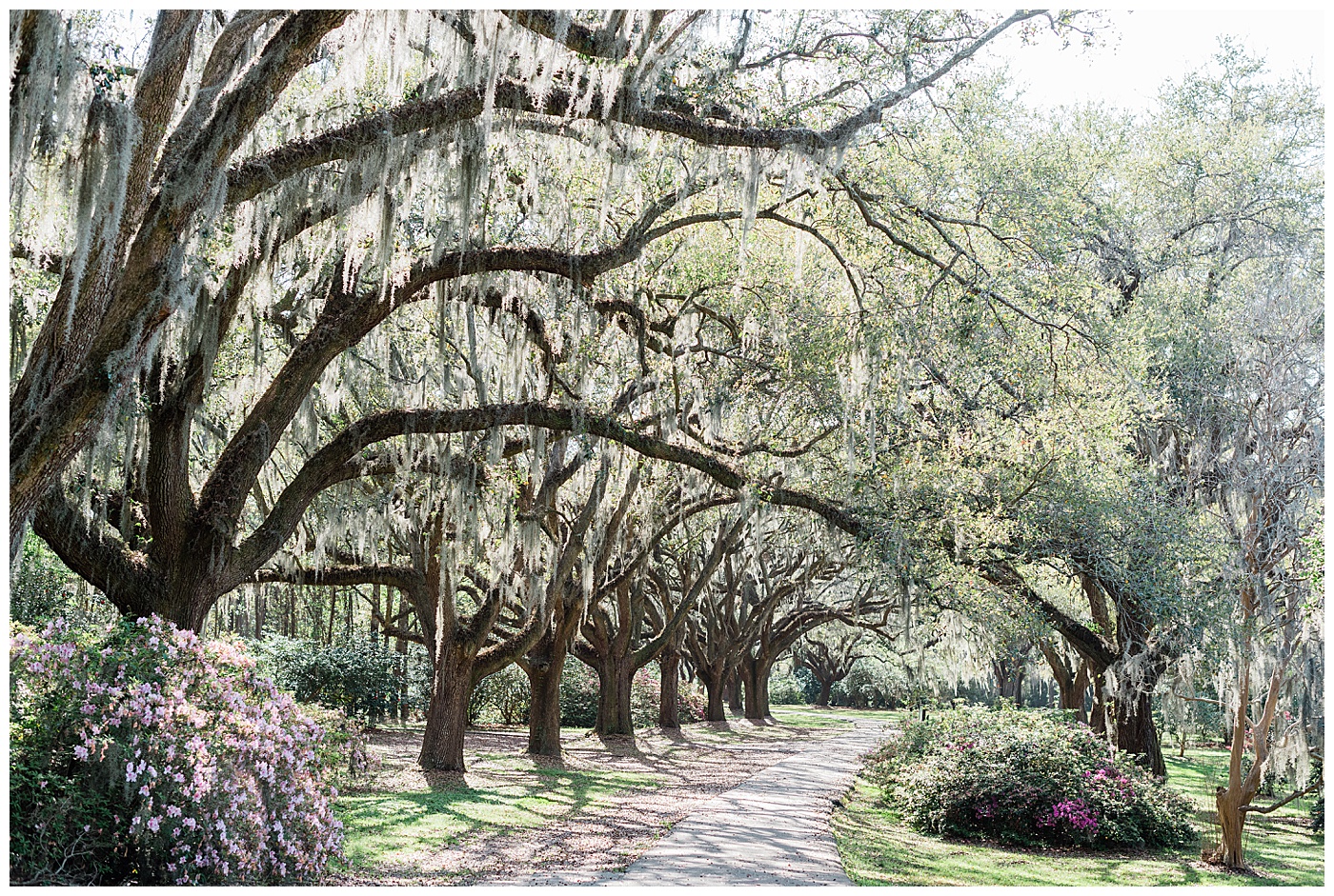 charles towne landing wedding